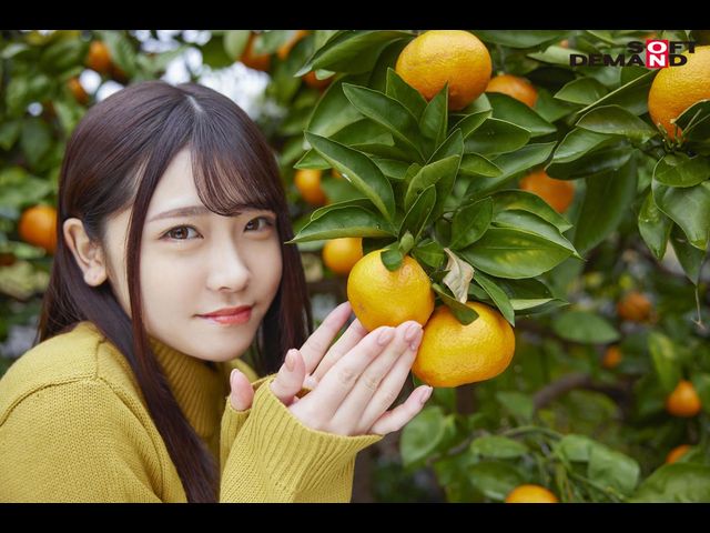 皆濑明里(皆瀬あかり)作品 19岁美少女步兵下马 - 吾享客