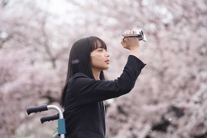 日本催泪爱情电影推荐《余命10年》 - 吾享客