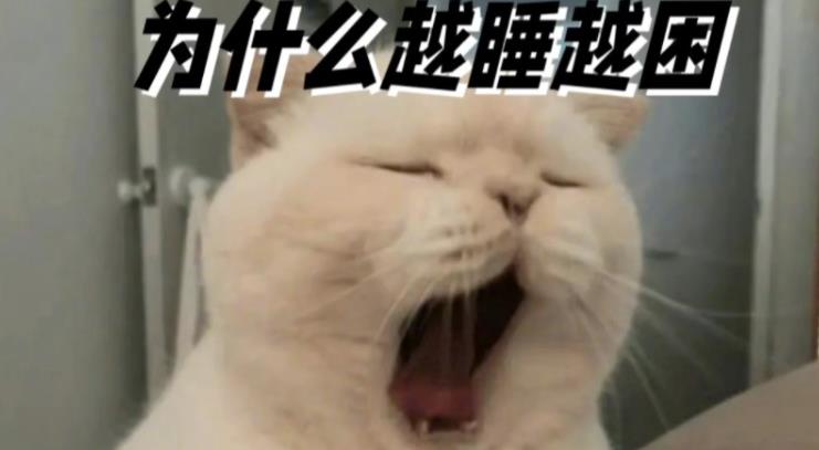 为什么睡觉，越睡越困？越睡越累？ - 吾享客