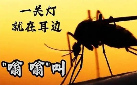 为什么开灯听不见蚊子叫，一关灯耳边都是嗡嗡声? - 吾享客