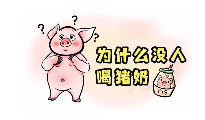 猪奶为什么没人喝？ - 吾享客